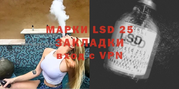 винт Алзамай