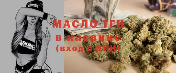 гидра Гусь-Хрустальный