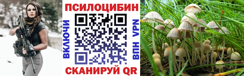Галлюциногенные грибы Psilocybine cubensis Анжеро-Судженск